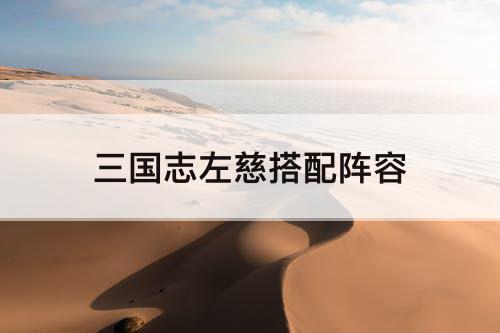 三国志左慈搭配阵容