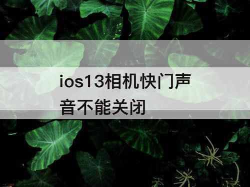 ios13相机快门声音不能关闭