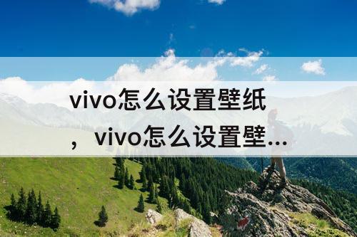 vivo怎么设置壁纸，vivo怎么设置壁纸为自己喜欢的图片在相册里