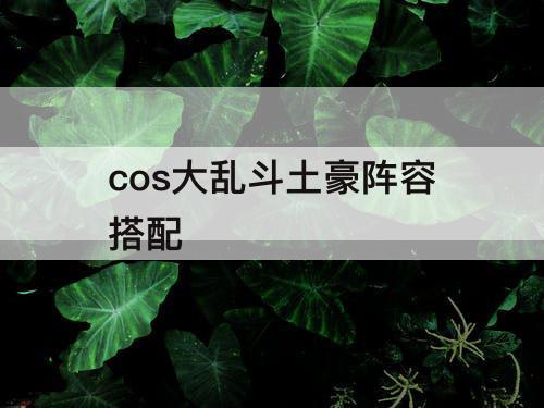 cos大乱斗土豪阵容搭配