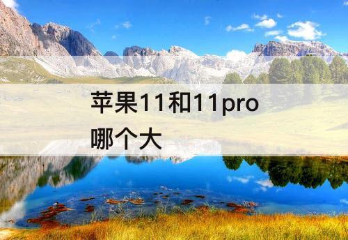 苹果11和11pro哪个大