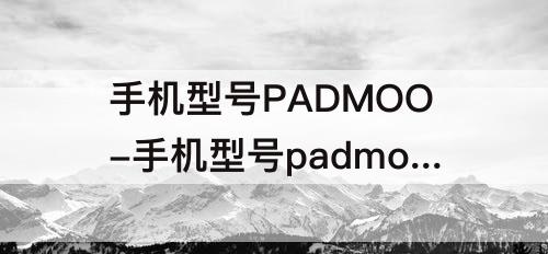 手机型号PADMOO-手机型号padmoo介绍