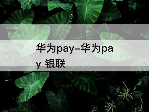 华为pay-华为pay 银联
