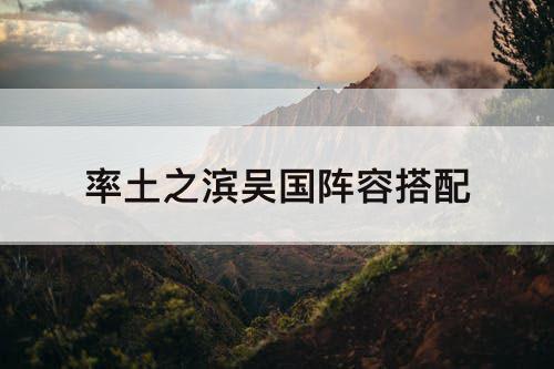 率土之滨吴国阵容搭配
