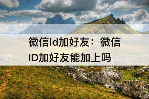 微信id加好友：微信ID加好友能加上吗