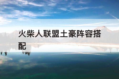 火柴人联盟土豪阵容搭配