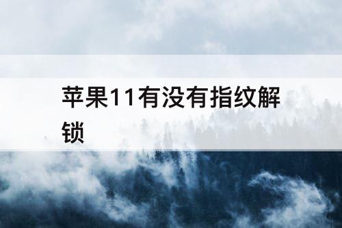 苹果11有没有指纹解锁