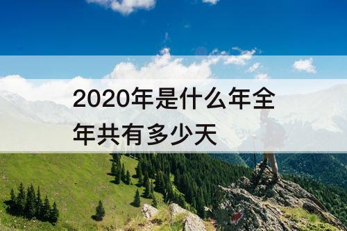 2020年是什么年全年共有多少天