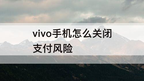 vivo手机怎么关闭支付风险