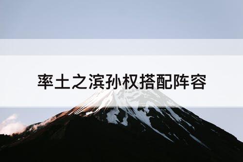 率土之滨孙权搭配阵容