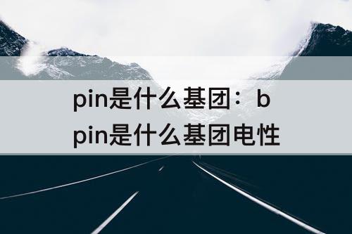 pin是什么基团：bpin是什么基团电性