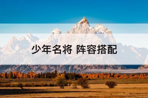 少年名将 阵容搭配