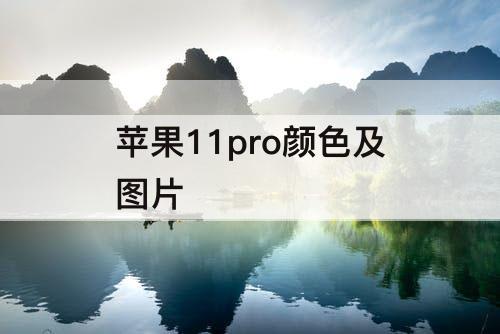 苹果11pro颜色及图片