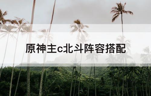 原神主c北斗阵容搭配