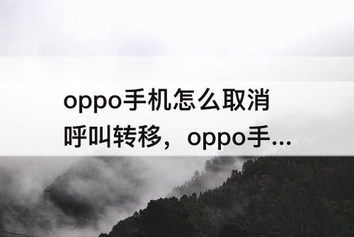 oppo手机怎么取消呼叫转移，oppo手机怎么取消呼叫转移设置