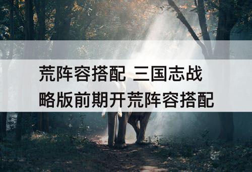 荒阵容搭配 三国志战略版前期开荒阵容搭配