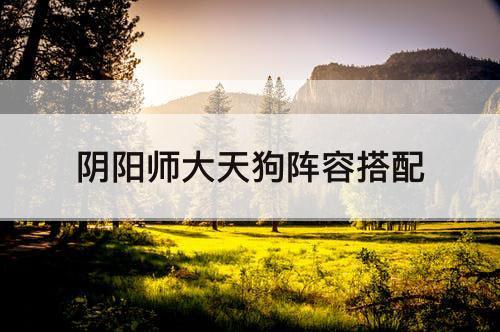 阴阳师大天狗阵容搭配