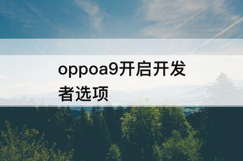 oppoa9开启开发者选项