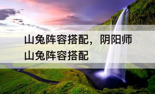 山兔阵容搭配，阴阳师山兔阵容搭配