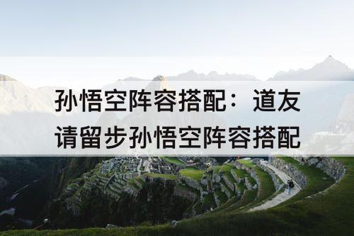 孙悟空阵容搭配：道友请留步孙悟空阵容搭配