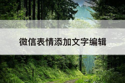 微信表情添加文字编辑