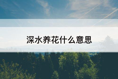 深水养花什么意思