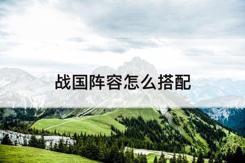 战国阵容怎么搭配