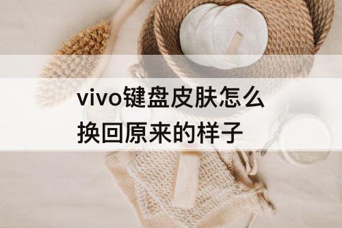 vivo键盘皮肤怎么换回原来的样子