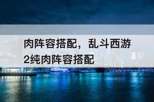 肉阵容搭配，乱斗西游2纯肉阵容搭配
