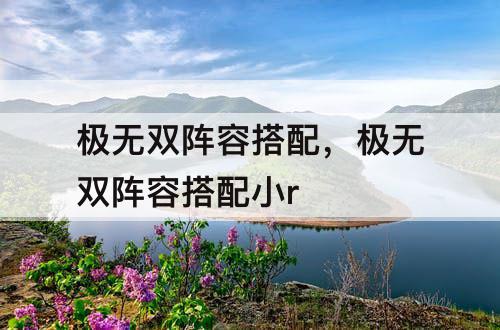 极无双阵容搭配，极无双阵容搭配小r