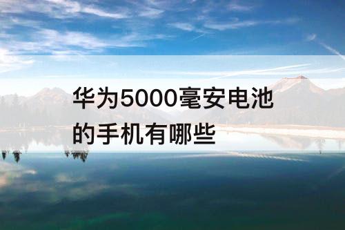 华为5000毫安电池的手机有哪些