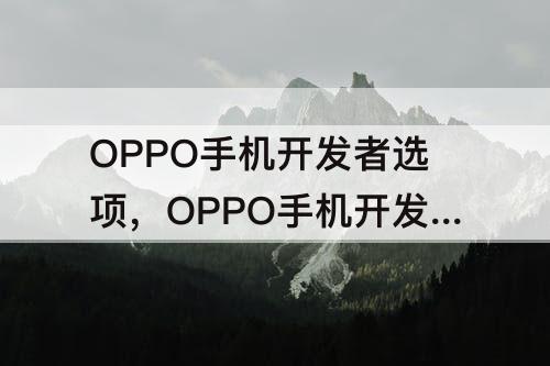 OPPO手机开发者选项，OPPO手机开发者选项开启好还是关闭好