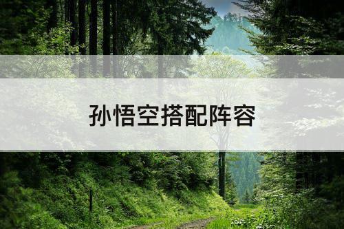 孙悟空搭配阵容