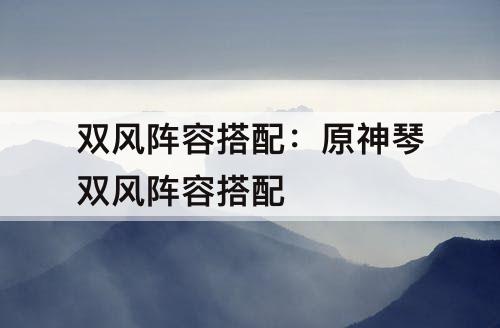 双风阵容搭配：原神琴双风阵容搭配