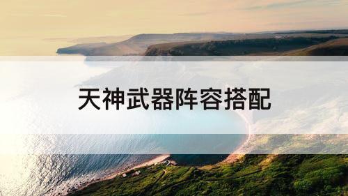 天神武器阵容搭配