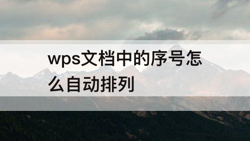 wps文档中的序号怎么自动排列