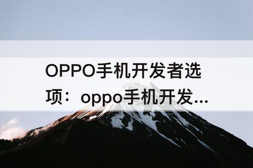 OPPO手机开发者选项：oppo手机开发者选项在哪里关闭