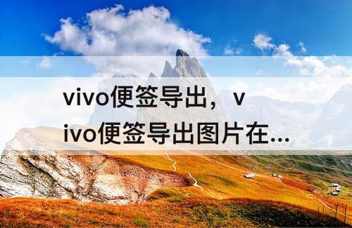 vivo便签导出，vivo便签导出图片在哪找