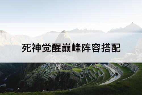 死神觉醒巅峰阵容搭配