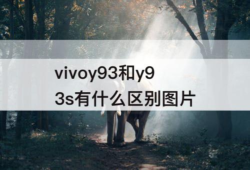 vivoy93和y93s有什么区别图片