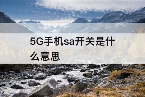 5G手机sa开关是什么意思