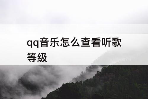 qq音乐怎么查看听歌等级