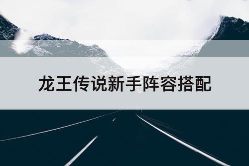 龙王传说新手阵容搭配