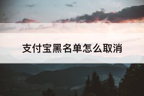 支付宝黑名单怎么取消