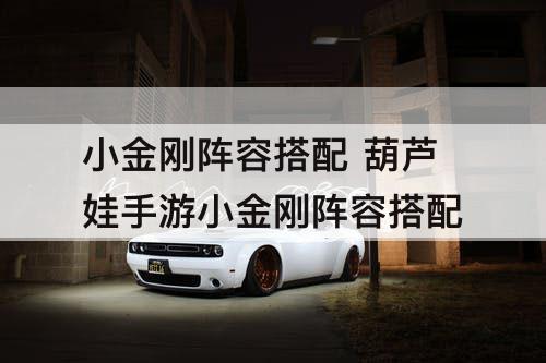 小金刚阵容搭配 葫芦娃手游小金刚阵容搭配