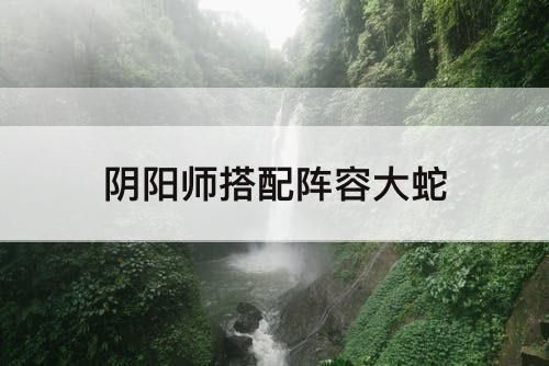 阴阳师搭配阵容大蛇