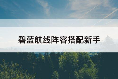 碧蓝航线阵容搭配新手