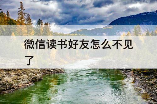 微信读书好友怎么不见了