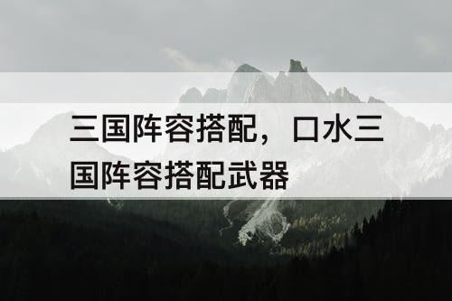 三国阵容搭配，口水三国阵容搭配武器