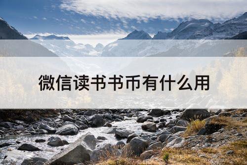 微信读书书币有什么用